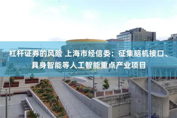 杠杆证券的风险 上海市经信委：征集脑机接口、具身智能等人工智能重点产业项目