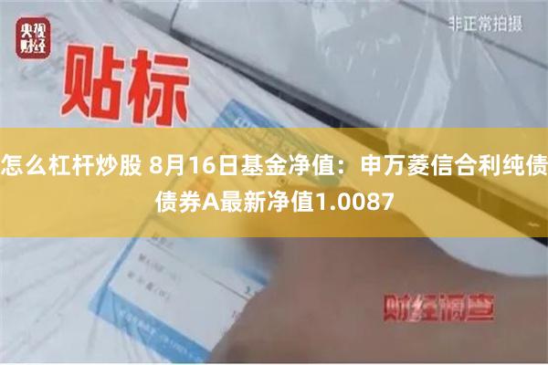 怎么杠杆炒股 8月16日基金净值：申万菱信合利纯债债券A最新净值1.0087