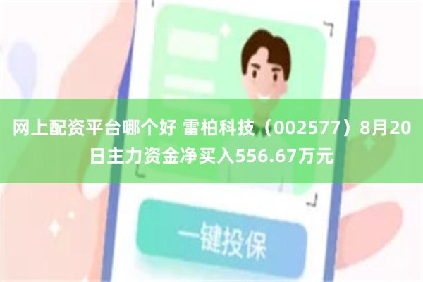 网上配资平台哪个好 雷柏科技（002577）8月20日主力资金净买入556.67万元