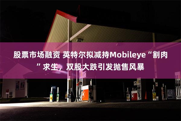 股票市场融资 英特尔拟减持Mobileye“割肉”求生，双股大跌引发抛售风暴