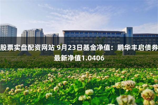 股票实盘配资网站 9月23日基金净值：鹏华丰启债券最新净值1.0406