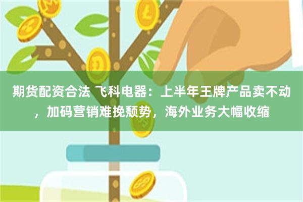 期货配资合法 飞科电器：上半年王牌产品卖不动，加码营销难挽颓势，海外业务大幅收缩