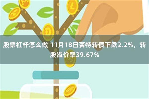 股票杠杆怎么做 11月18日赛特转债下跌2.2%，转股溢价率39.67%