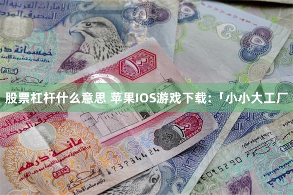 股票杠杆什么意思 苹果IOS游戏下载:「小小大工厂