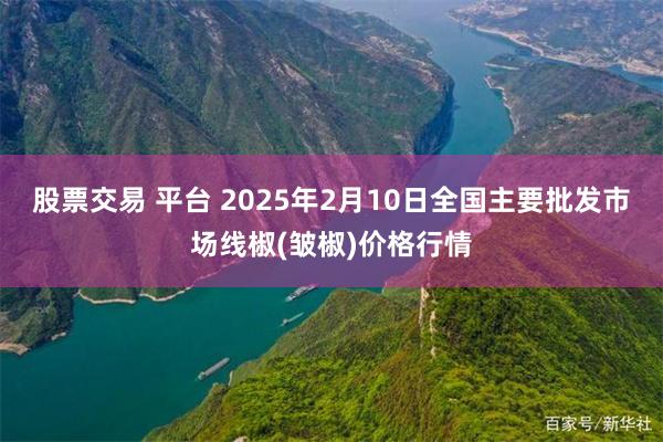 股票交易 平台 2025年2月10日全国主要批发市场线椒(皱椒)价格行情