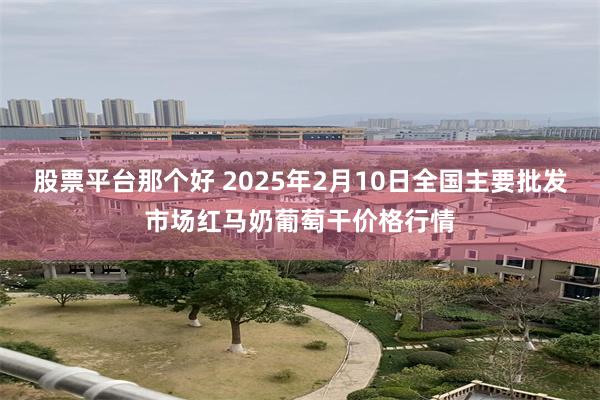 股票平台那个好 2025年2月10日全国主要批发市场红马奶葡萄干价格行情