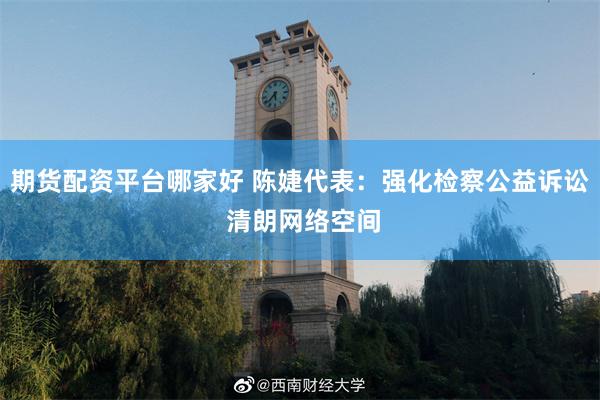 期货配资平台哪家好 陈婕代表：强化检察公益诉讼 清朗网络空间